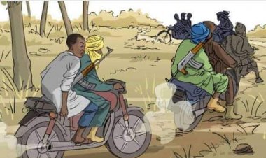 Kidnappers Abducts 50 year Old Business Man in Jigawa