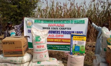 Kebbi begins sale of fertilizer for 2022  dry season farming
