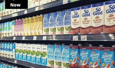 ZUBAU:Labarin Wasu Makaryata Guda Uku