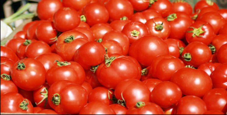 Yanda Ake Gyaran Fuska Da Tumatir Ta Yi Sheki Da Kyau