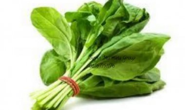 Illoli Da Amfanin Ganyen SHUWAKA Ga Lafiyar Mutane