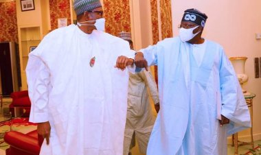 Buhari Ya Amince Da Sharadina Kafin Mu Fara Tafiyar Siyasa----Bola Tinubu