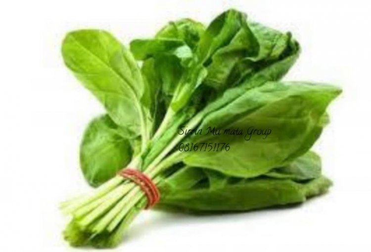 Labarin GUDALIYA Mai Ƙusumbi