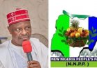 Matsalar tsaro nafin karfin Gwamnatin tarayya - Kwankwaso 