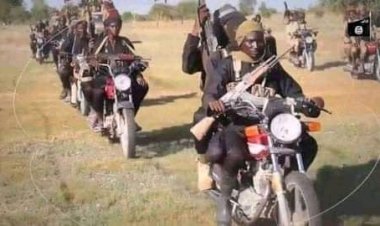 Bandits kills Politician after collect 15 million ransom in Zamfara