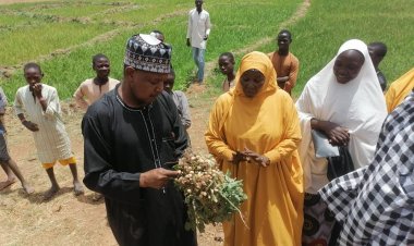 Za a samu ambaliyar ruwa a jihohin Nijeriya