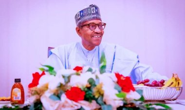 We Must Show Positive Qualities Of  APC Our Convention-----Buhari 