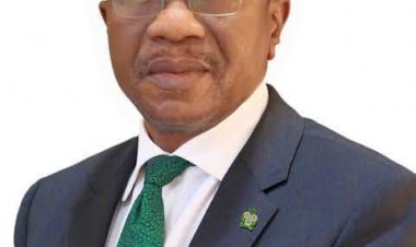 APC Presidential Form: Emefiele Cannot Continue as CBN Governor - PDP