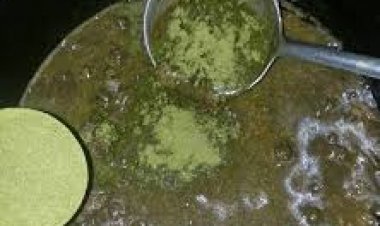 Mutanen  Gida ɗaya su 6 sun Mutu Bayan cin Abincin da ake Zargin Tsaka-Tsaka Ta Saka Bakinta