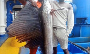  'Yan Nijeriya Sun Kama Kifi Mafi Sauri A Duniya Kudinsa Ya Haura Naira Dubu 600