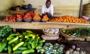 PRICE OF TOMATOES HIKE AS ONE BASKET SOLD AT 28,000 IN JIGAWA