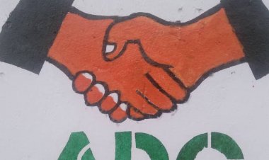 Mayana Youth Development Association Present Certificate Of Award To Zamfara ADC Chairman