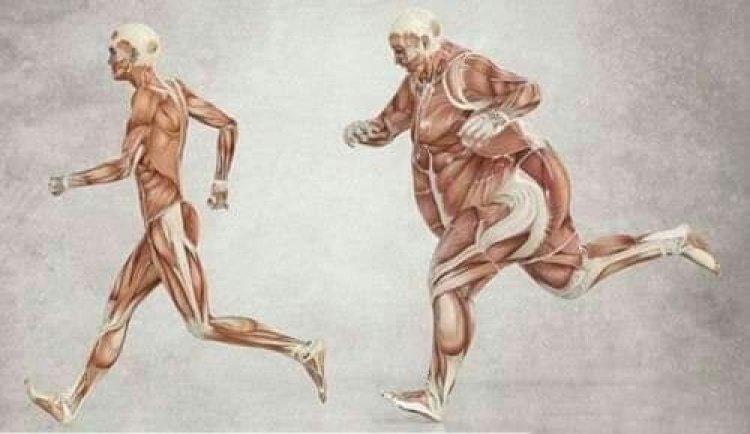 Wane Lokaci Ne Mafi Dacewa Domin Atisayen Rage Ƙibar Jiki? 