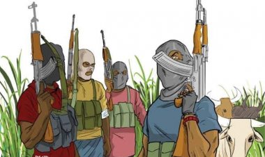 Tsaro: 'Yan Ta'adda Sun Yankawa Manoman Zamfara Harajin Girbi