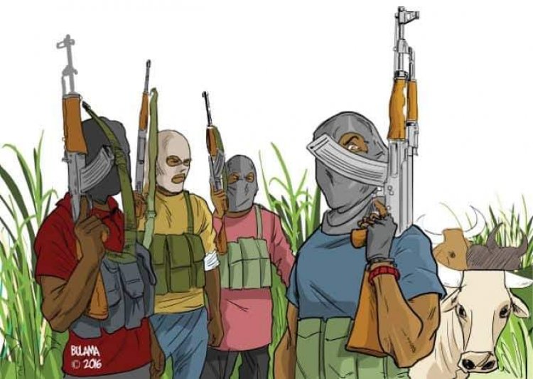 'Yan bindiga sun sace amarya da ƙawenta 14 a Sokoto