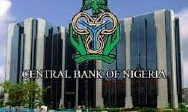 CBN HIKES COSTOM DUTY RATE 28 TIMES IN 3 MONTHS