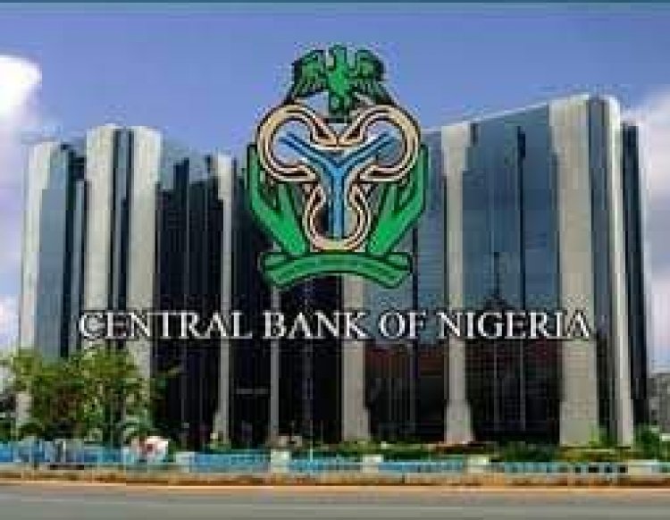 CBN HIKES COSTOM DUTY RATE 28 TIMES IN 3 MONTHS
