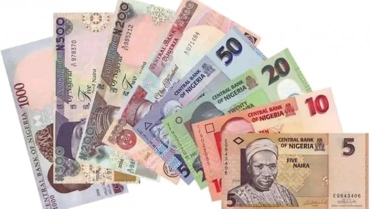Old naira notes:PDP advises Buhari To Avoid Repeat Of 1984 in 2023