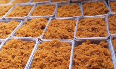 Ina Sana'ar Dambun  Kaza Don Dogaro Da Kai, Ba Don Kaskanci Ba------Hajaru Muhammad