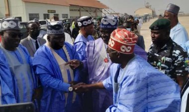 Customs launches committee to ease port congestion 