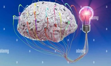 Allah Gwani | Abubuwan Mamaki 11 Game Da Ƙwaƙwalwa