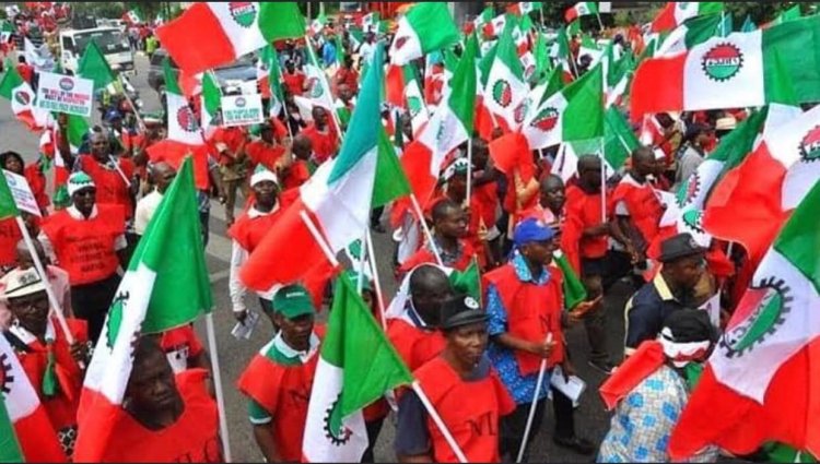 Fuel Subsidy Removal: Zamfara NLC Sets To Join Wednesday's Nation Wide Strike 