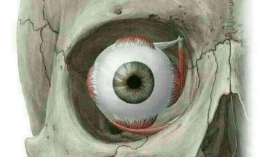 Allah Gwani: Ko ka san me ke jujjuya ƙwayar idonka?