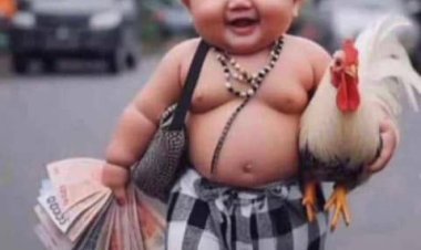 Job: What Does Visa Sponsorship Available Mean?