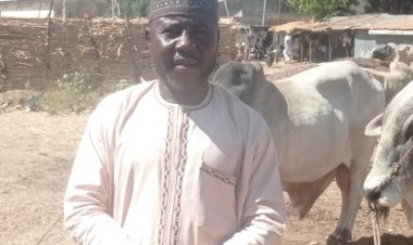 Zamfara Cattle Dealers Association Has No Division, I am The authentic Elected Chairman:- Comrade Aminu