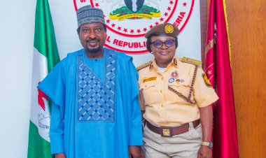 Immigration lifts restrictions on movement at Nigeria-Niger Border