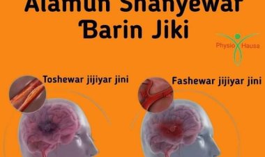 Yadda za ka gane alamun shanyewar ɓarin jiki da abin da ya kamata ka yi