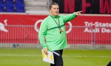 Kocin Super Eagles, Peseiro ya ajiye aiki