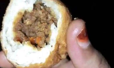 How to make Scallop, Salmon, and Shrimp Terrin