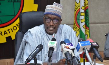 NNPCL:  Those Seeking Independent Leadership, Enemies of Nigeria - UNYF