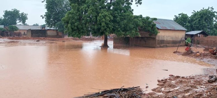 Aƙalla mutum 22 sun rasu bayan da motarsu ta afka rami a Pakistan