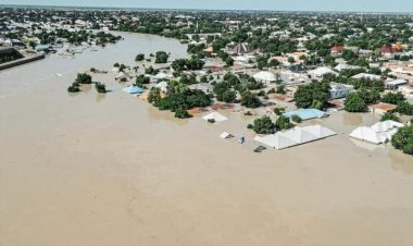 Ambaliya: 'Yan Siyasa Biyu a Sokoto Sun Tallafawa Mutanen Borno da Kayan Abinci na Sama da  Miliyan 30