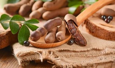 ƘADDARA TA: Fita Ta Shida