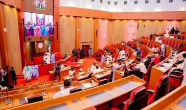 DICKSON, ABARIBE, TAMBUWAL WALK OUT AS SENATE BACKS TINUBU’S RIVERS EMERGENCY